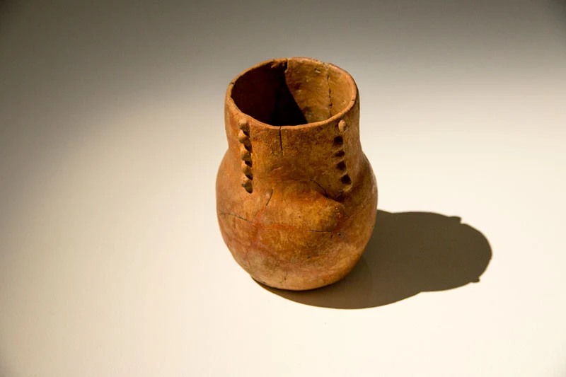 Vinagora gallery 1