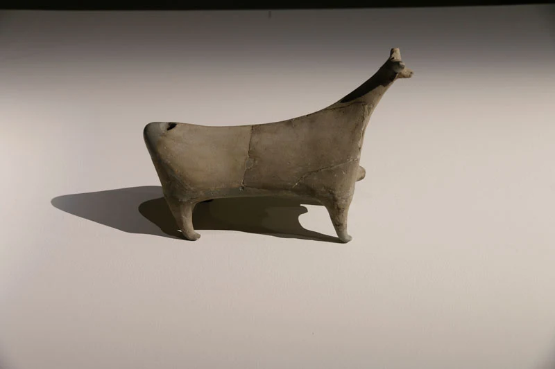 Vinagora gallery 2