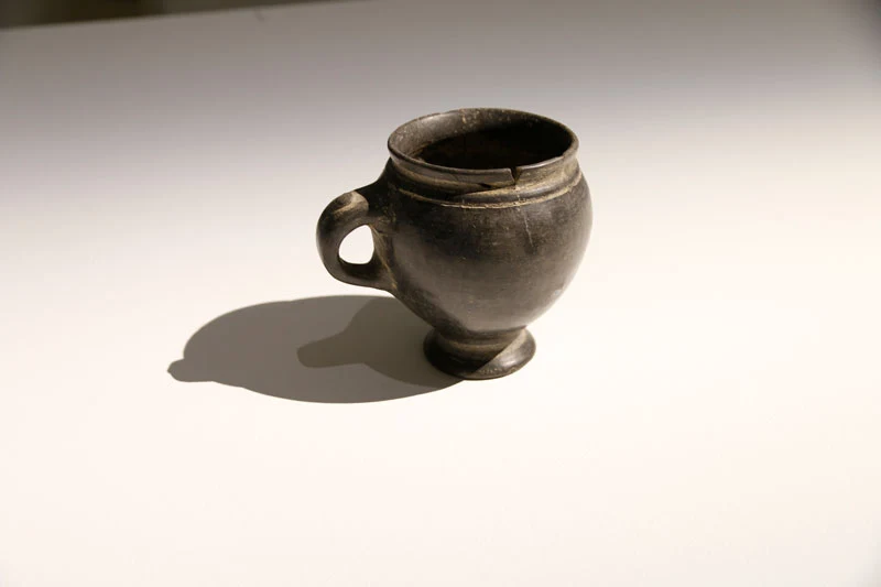 Vinagora gallery 7