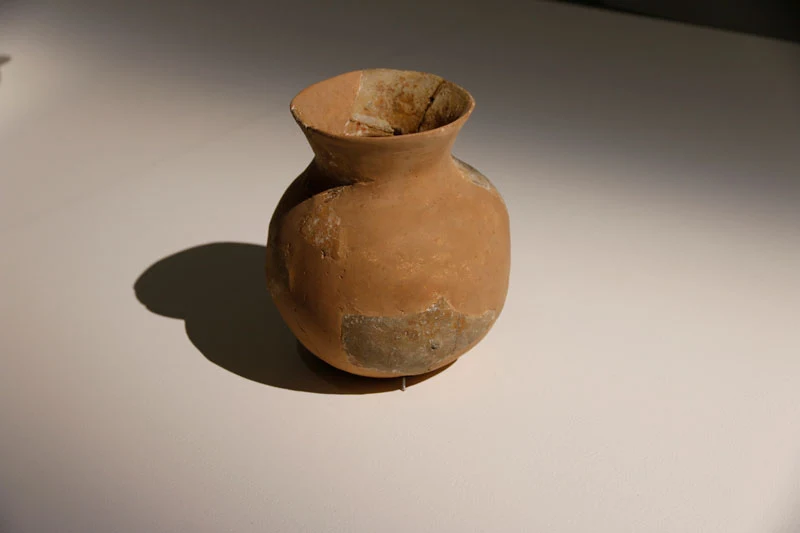 Vinagora gallery 10