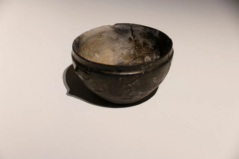 Vinagora gallery 12