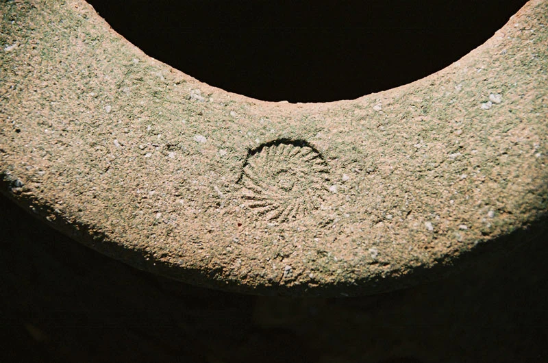 Vinagora gallery 24
